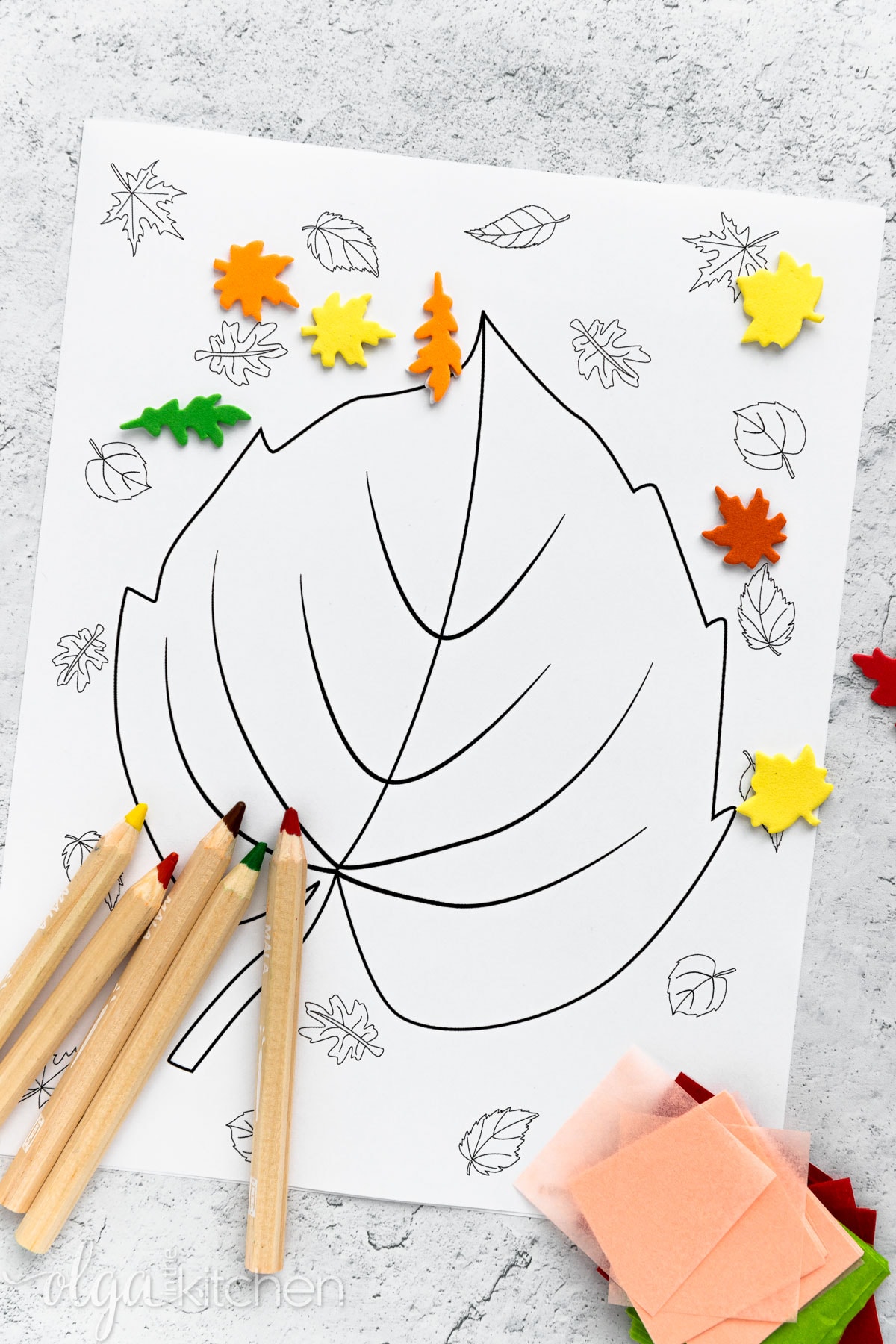 Print off these FREE printable autumn leaves coloring pages for a fall rainy day or a simple activity to do with your kids! #printables #coloringpages #olgainthekitchen #kidsactivity #fallcoloring #autumncoloring #school