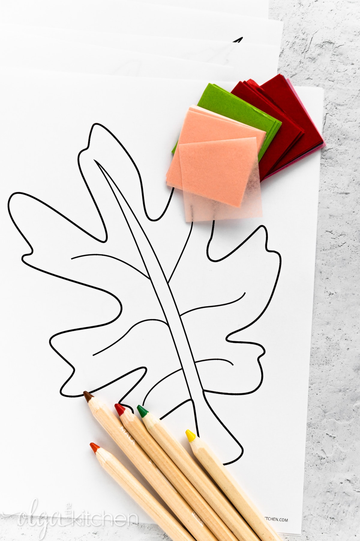 Print off these FREE printable simple autumn leaves coloring pages for a fall rainy day or a simple activity with your kids! #printables #coloringpages #olgainthekitchen #fallactivity #fallcoloring #thanksgiving #crafts #diy
