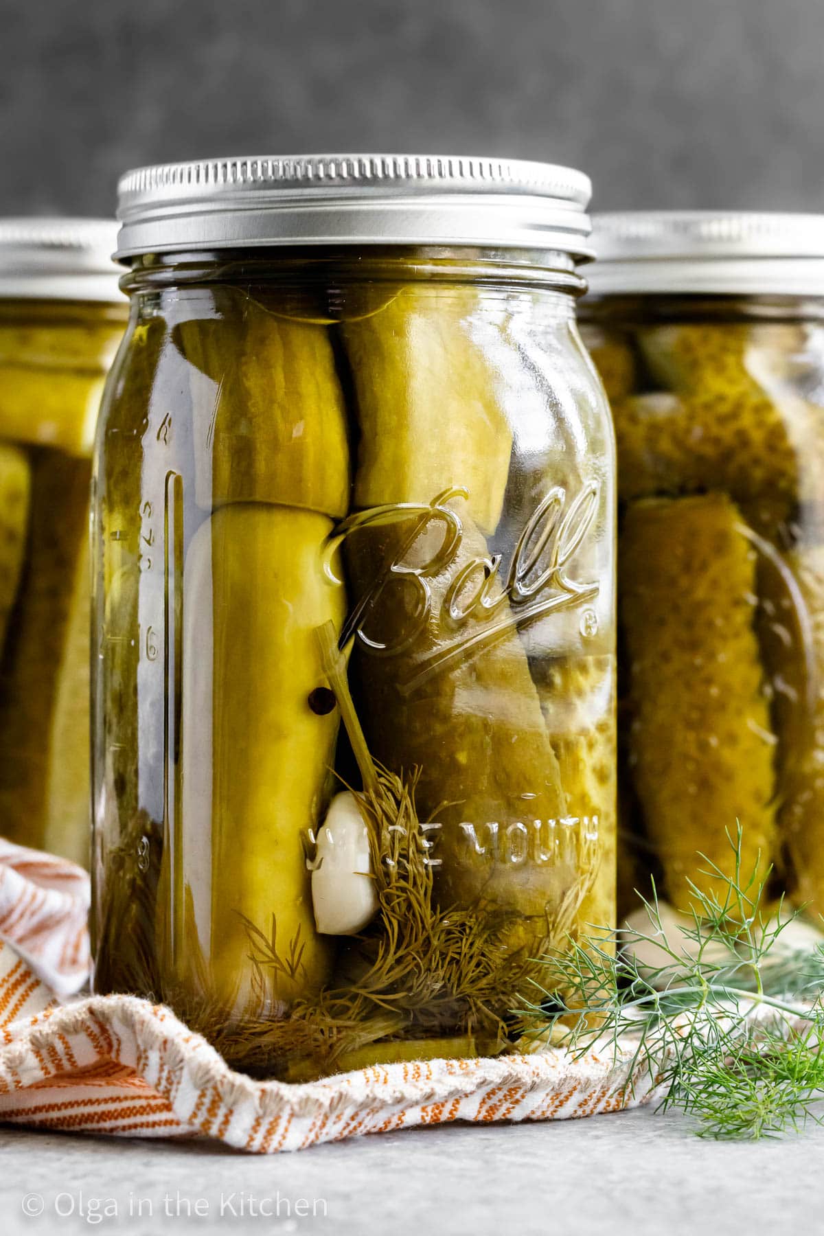 Easy homemade dill pickles recipe